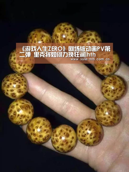 《游戏人生ZERO》剧场版动画PV第二弹 里克将如何力挽狂澜|hth(图1) 华体会