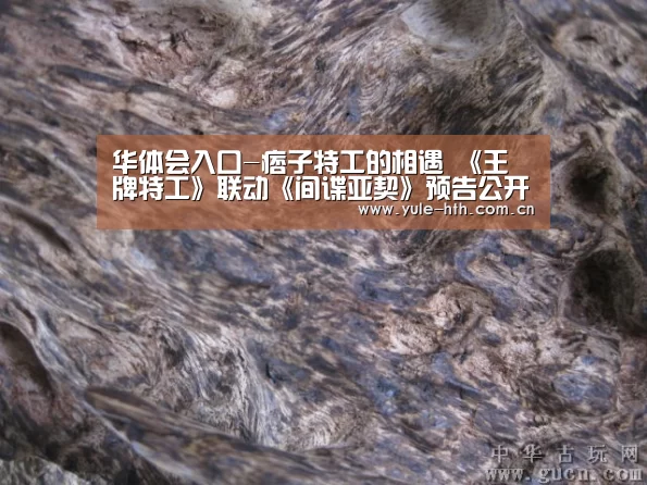 华体会入口-痞子特工的相遇 《王牌特工》联动《间谍亚契》预告公开(图1) 华体会入口