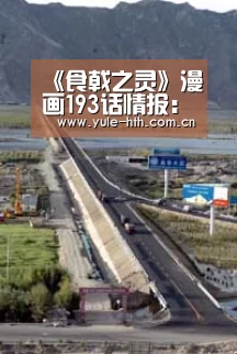 华体会
